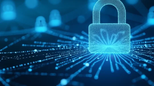 VPN professionali